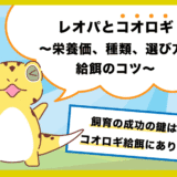 レオパとコオロギ〜栄養価、種類、選び方、給餌のコツ