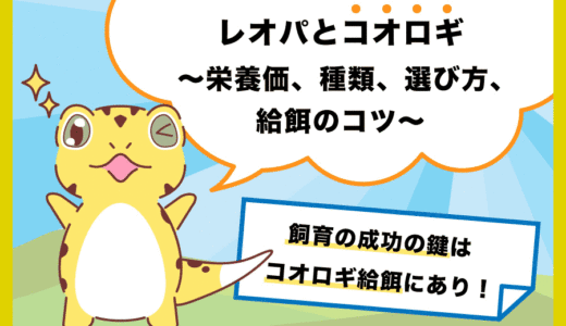 レオパとコオロギ〜栄養価、種類、選び方、給餌のコツ