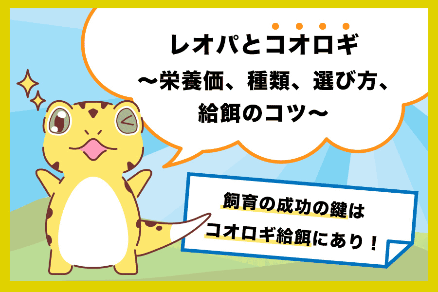 レオパとコオロギ〜栄養価、種類、選び方、給餌のコツ