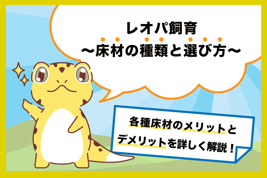 レオパ飼育〜床材の種類と選び方