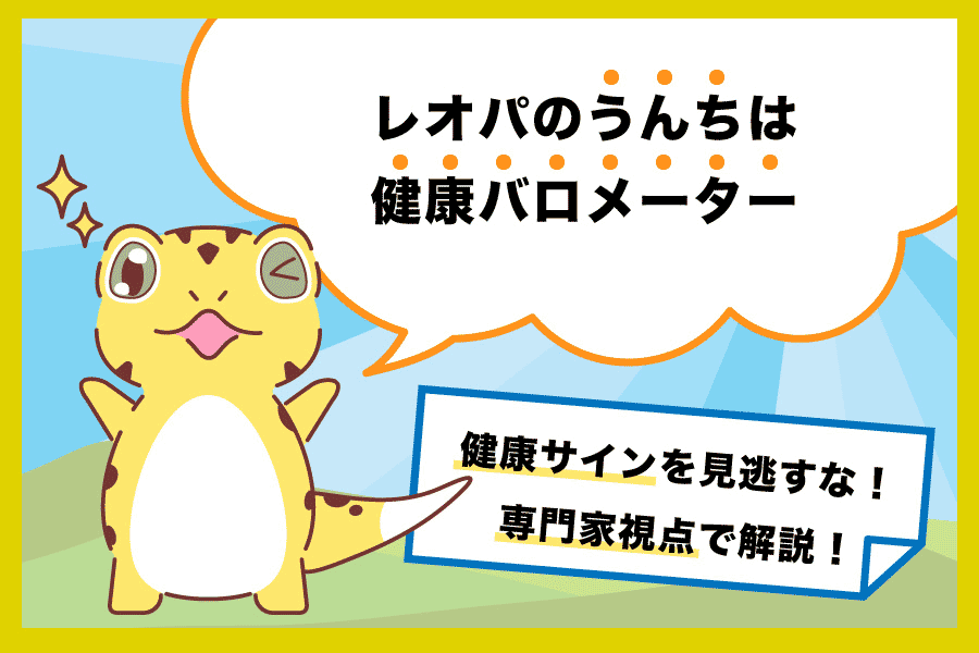 レオパのうんちは健康バロメーター