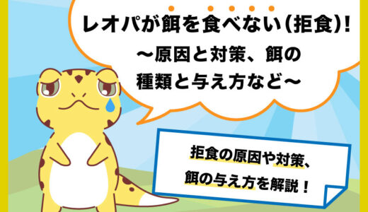 レオパが餌を食べない（拒食）！原因と対策、餌の種類と与え方など