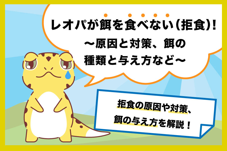 レオパが餌を食べない（拒食）！原因と対策、餌の種類と与え方など