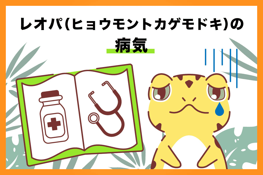 レオパ（ヒョウモントカゲモドキ）と病気