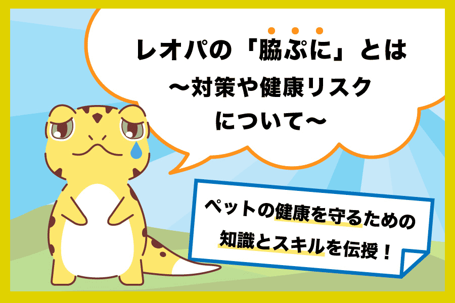 レオパの「脇ぷに」とは〜対策や健康リスクについて